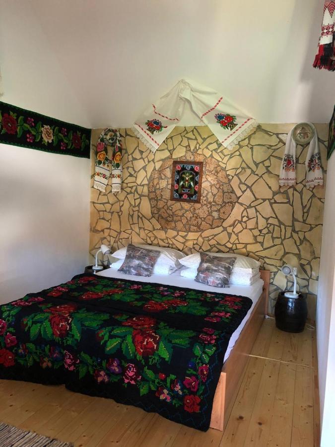 דירות Silvasu de Jos Casa Cezara מראה חיצוני תמונה