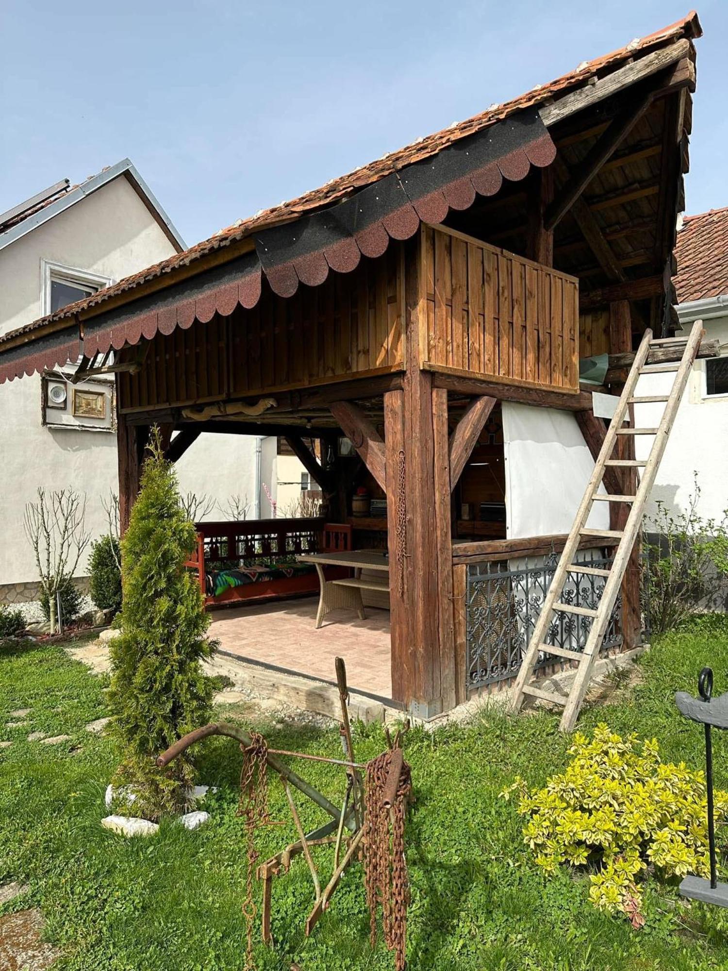 דירות Silvasu de Jos Casa Cezara מראה חיצוני תמונה