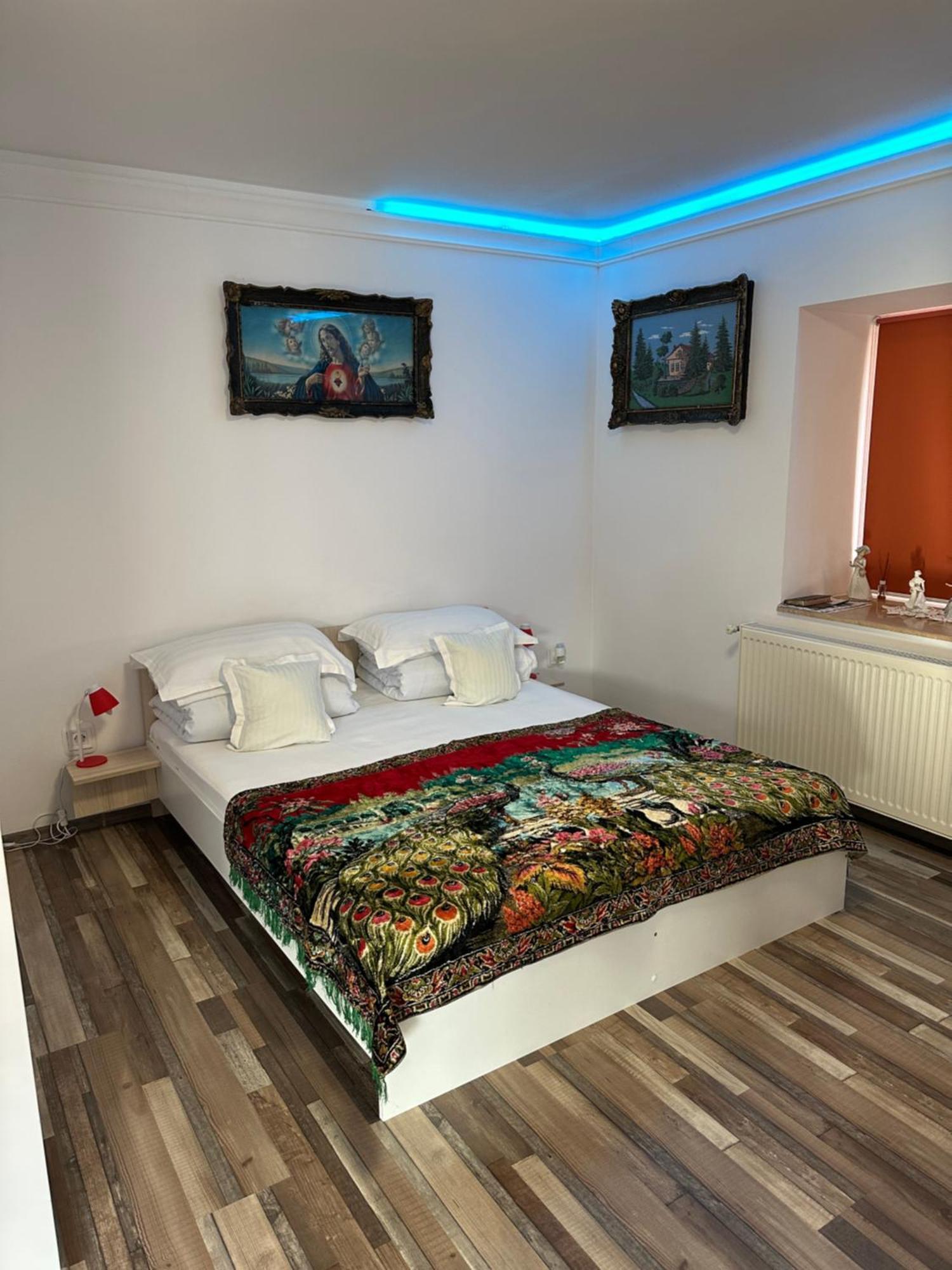 דירות Silvasu de Jos Casa Cezara מראה חיצוני תמונה