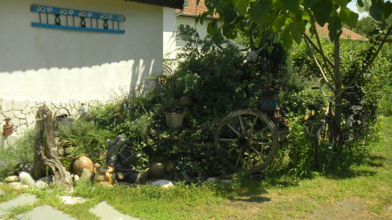 דירות Silvasu de Jos Casa Cezara מראה חיצוני תמונה