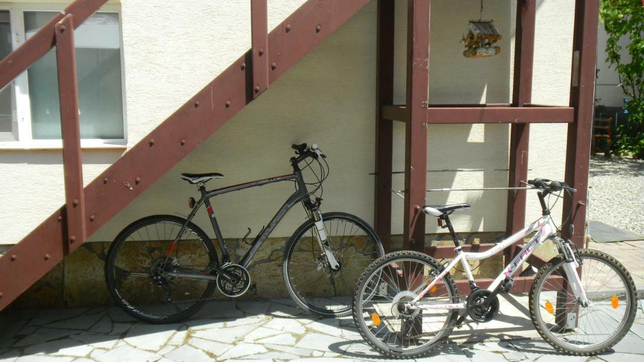 דירות Silvasu de Jos Casa Cezara מראה חיצוני תמונה