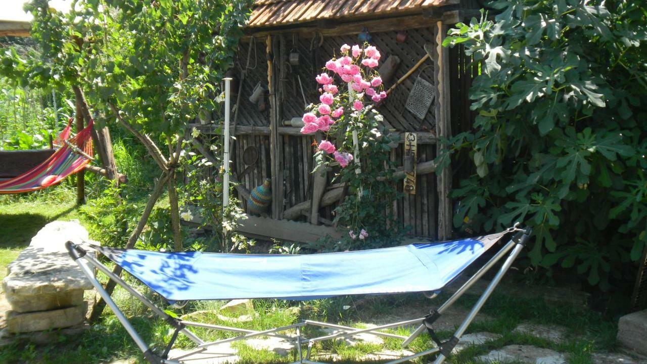 דירות Silvasu de Jos Casa Cezara מראה חיצוני תמונה